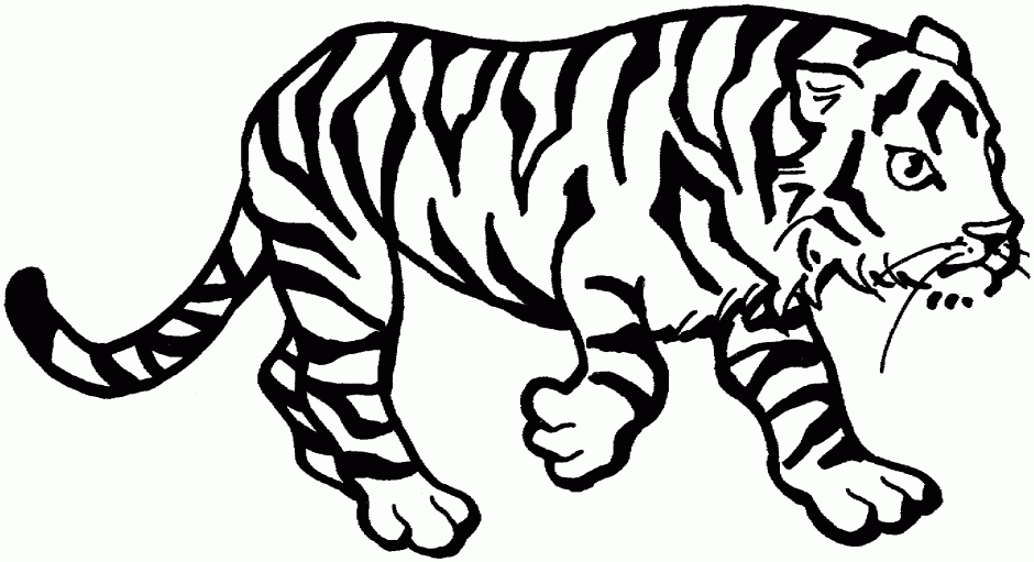 Tiger Cub Clip Art - Cliparts.co