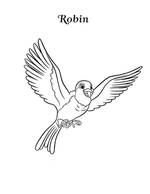 Robin, : Happy Robin Bird Coloring Page | Bird coloring pages, Online coloring  pages, Coloring pages
