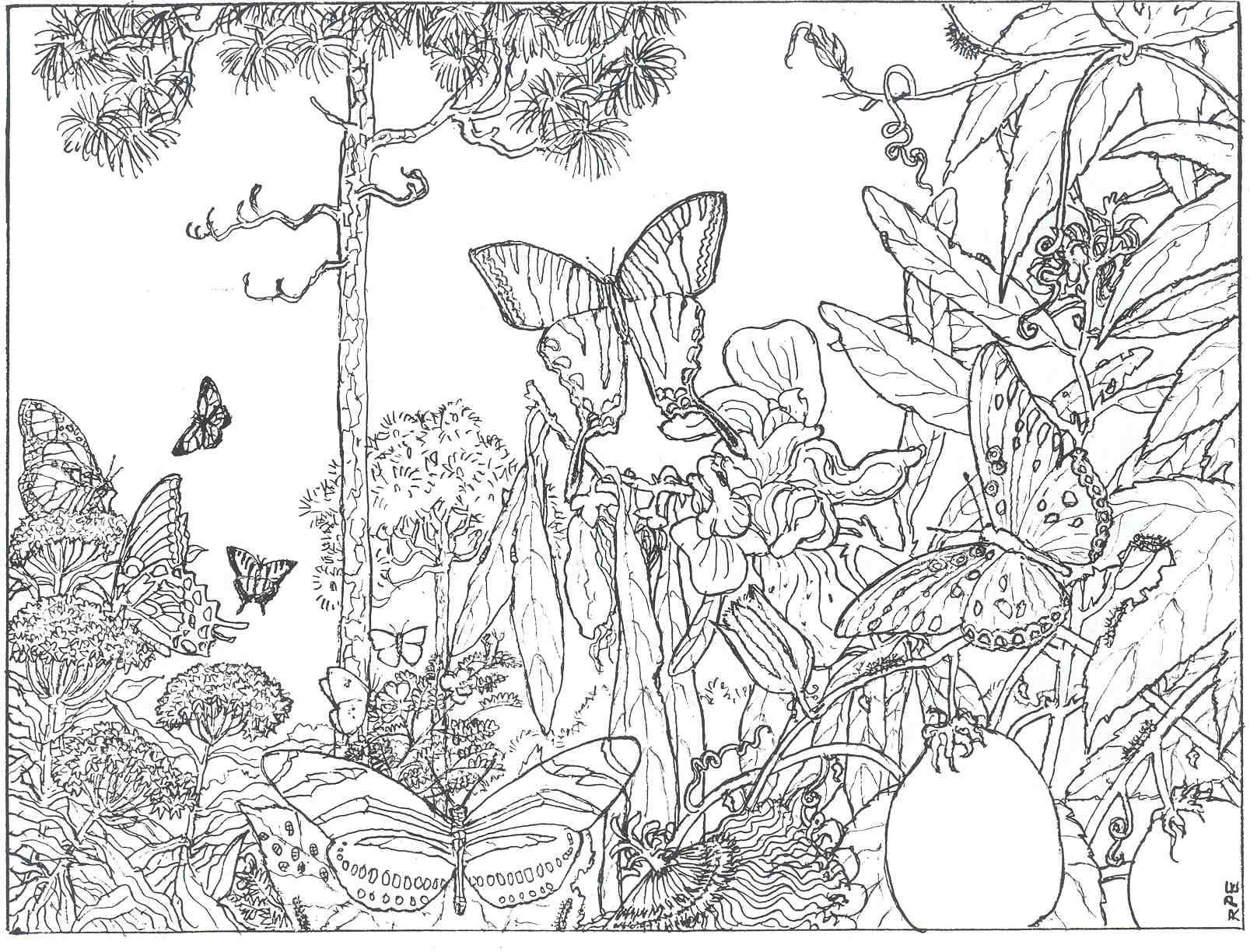 lets coloring ~ Enchanted Forest Coloring Bookages Extraordinary ...