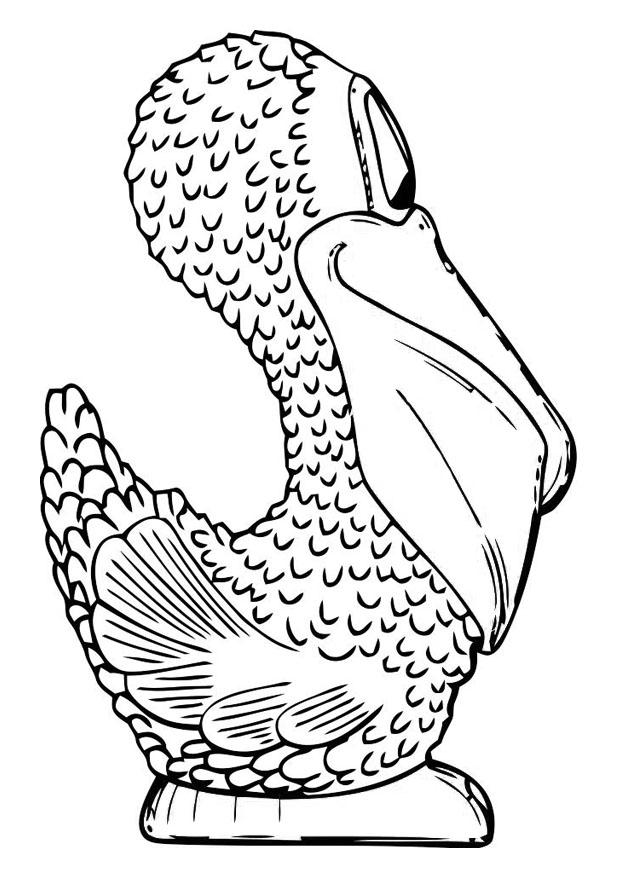 Coloring Page side pelican - free printable coloring pages - Img 19459