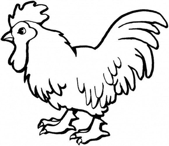 Rooster Coloring Page : Rooster In The Morning Farm Animal ...