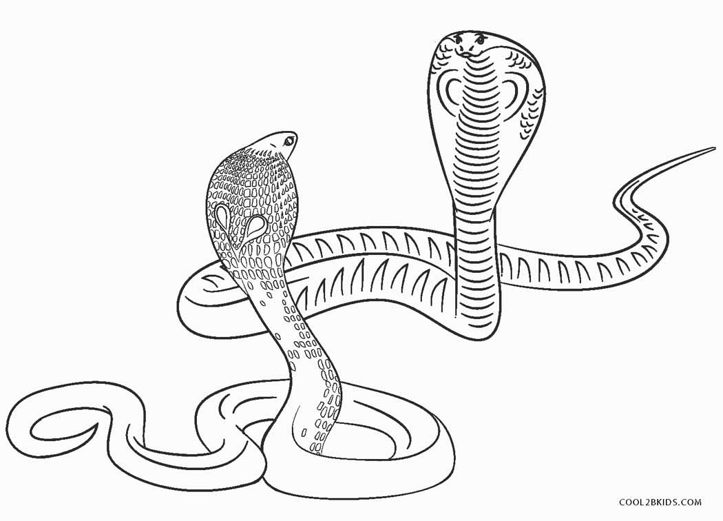 Free Printable Snake Coloring Pages For Kids Coloring Home