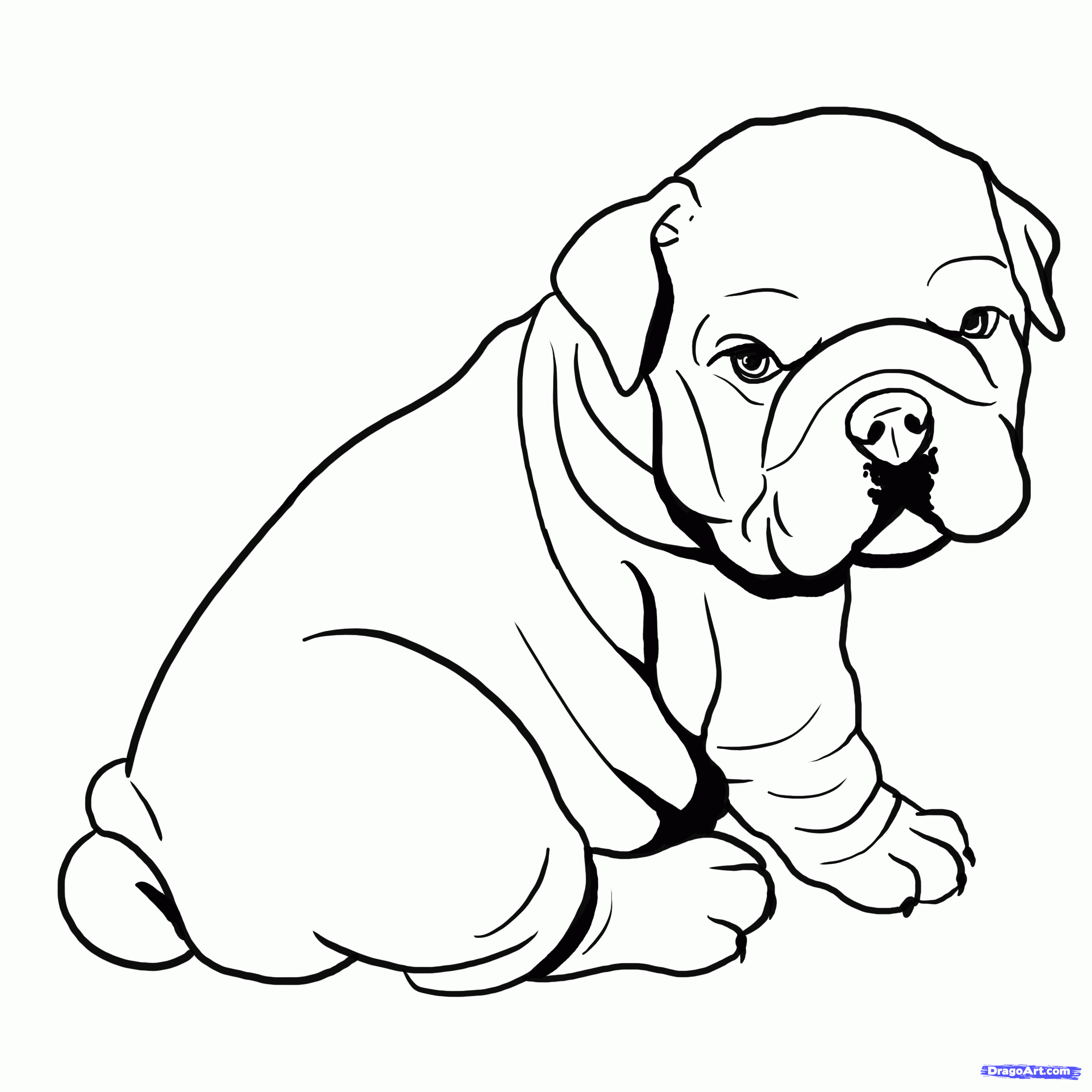 Bulldog Printable - Coloring Pages for Kids and for Adults