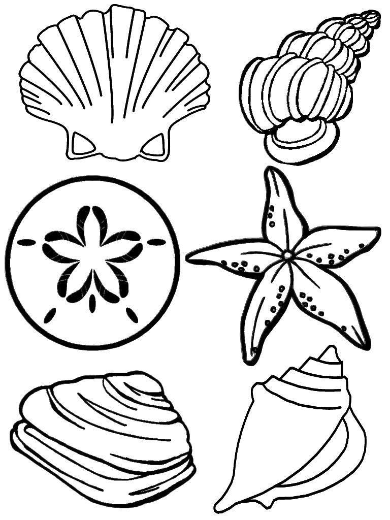 Seashell Printable Coloring Pages Coloring Home