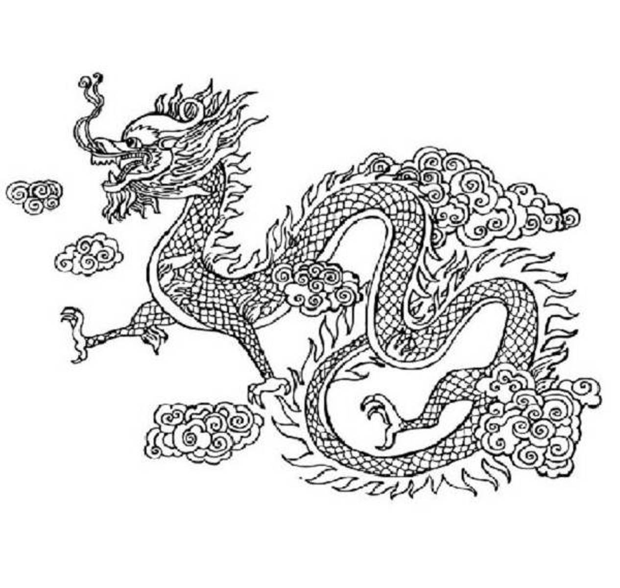 Realistic Dragon Printable Coloring Pages - Coloring Page