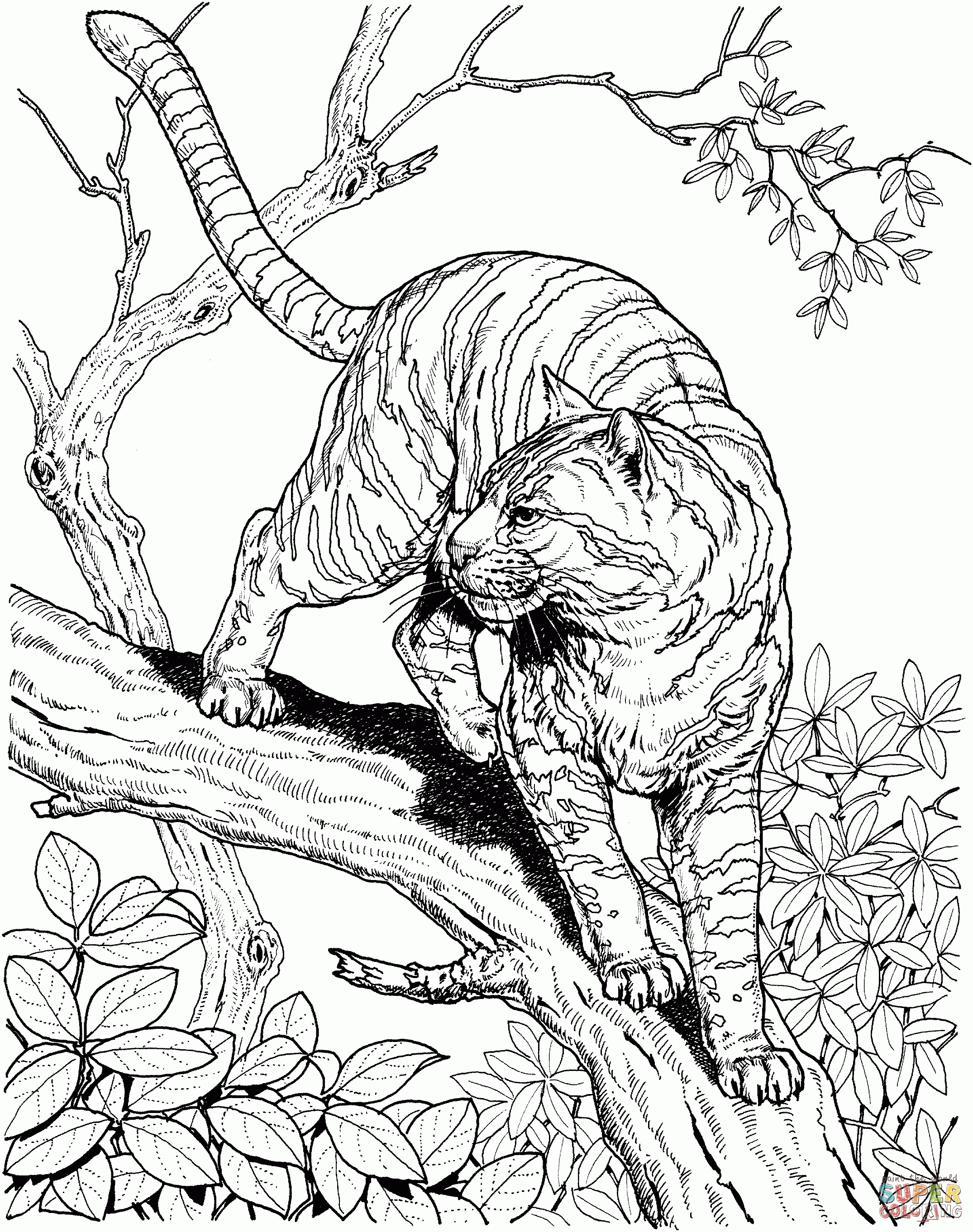 Jungle Animals Coloring Pages Free   Coloring Home