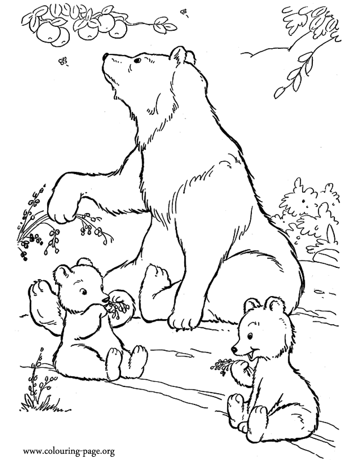 Bears - Mother bear and cubs eating fruits coloring page