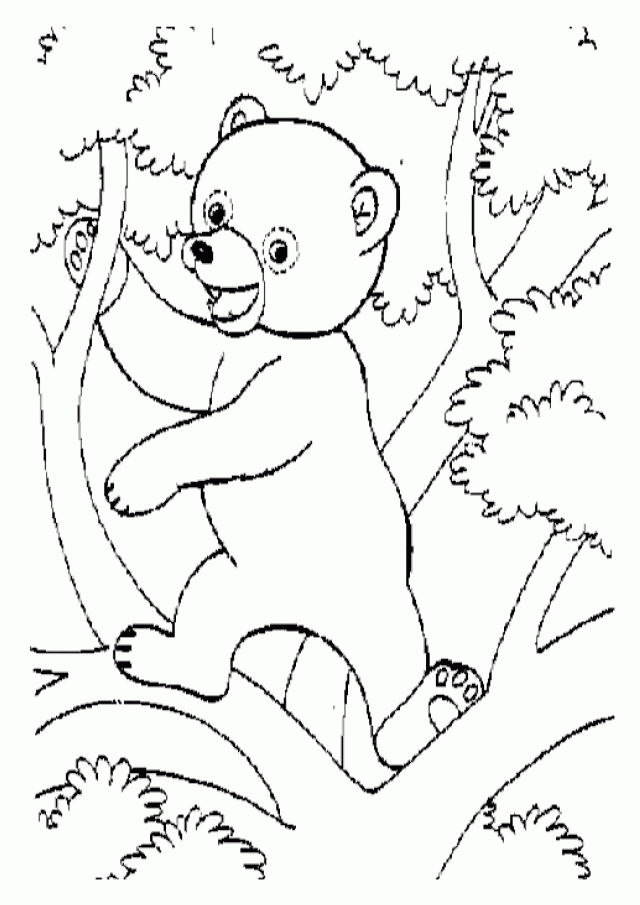 Pokemon TV Coloring Pages Christmas Story Coloring Pages Kids 