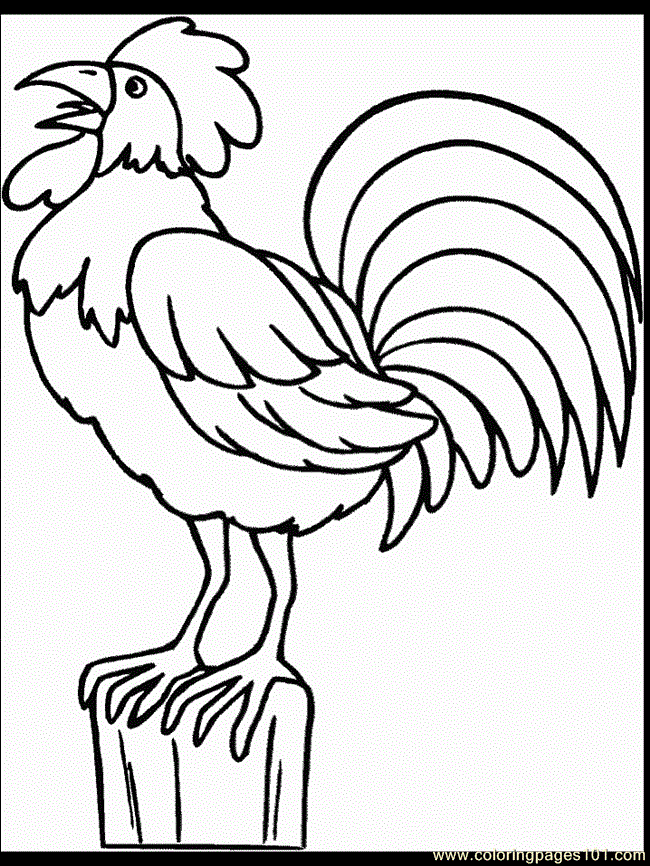 Coloring Pages Coloring Pages Rooster (Birds > Chick) - free 