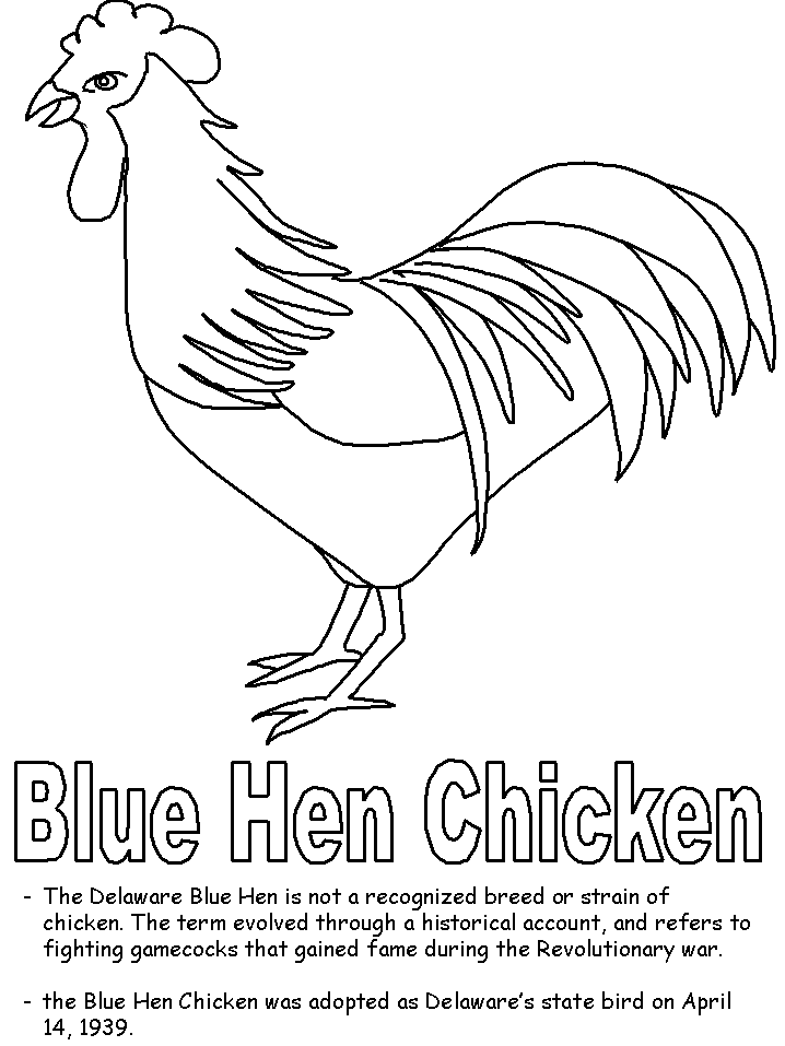 Blue Hen Chicken coloring page