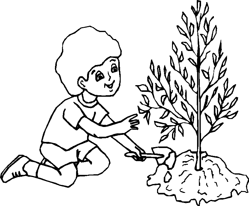 Coloring Pages Of Trees | Printable Coloring Pages