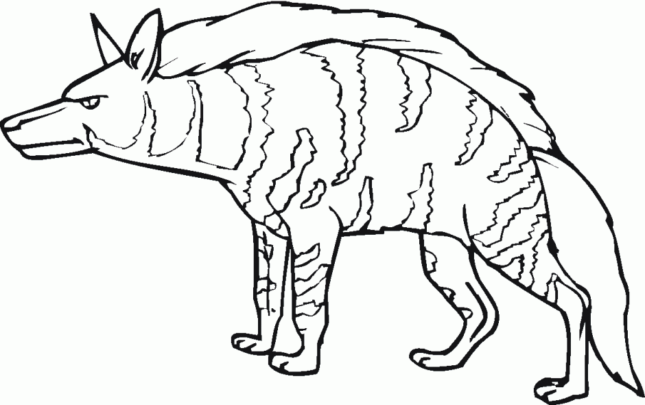 Striped Hyena Coloring Online Super Coloring 269535 Hyena Coloring 