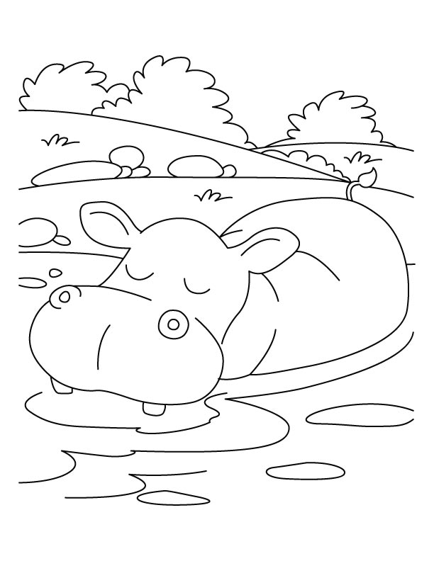 Hippopotamus in relaxing mood coloring pages | Download Free 