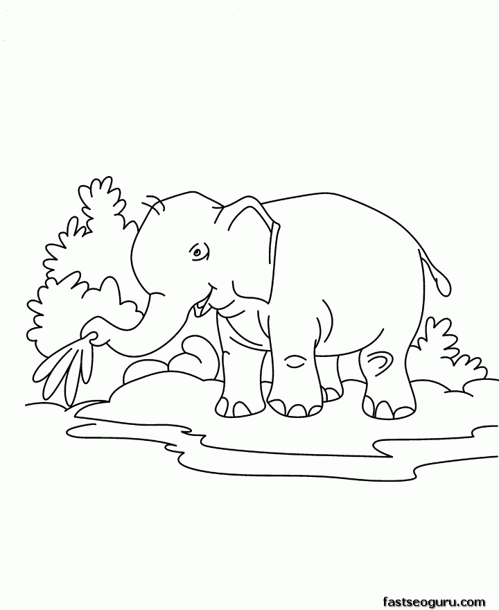 animal baby elephant coloring page for kids printable pages 
