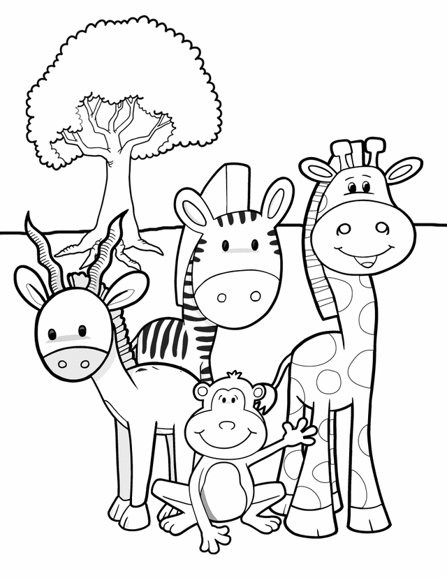 safari friends coloring book animal pages kids