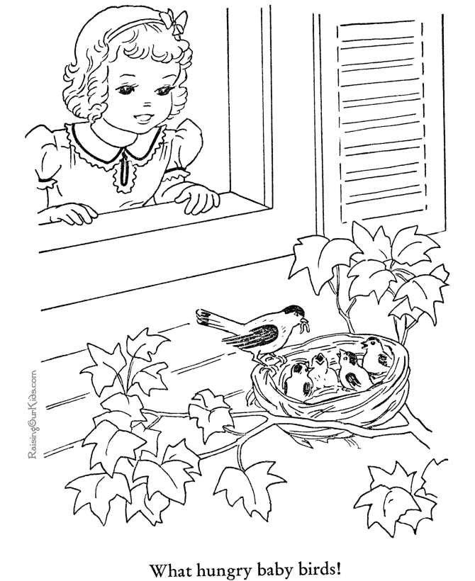 Animal coloring book page - Birds coloring pages