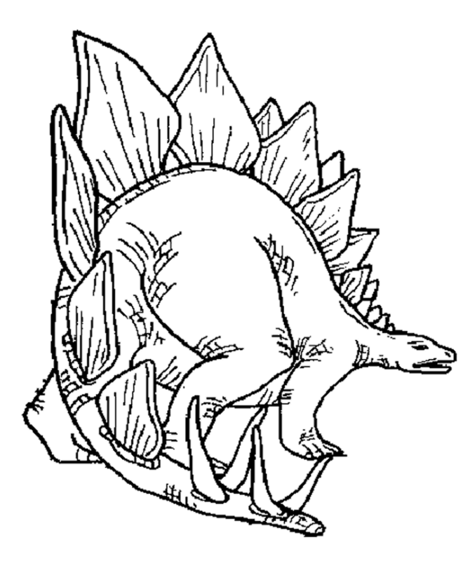 Stegosaurus Coloring Pages - Coloring Home