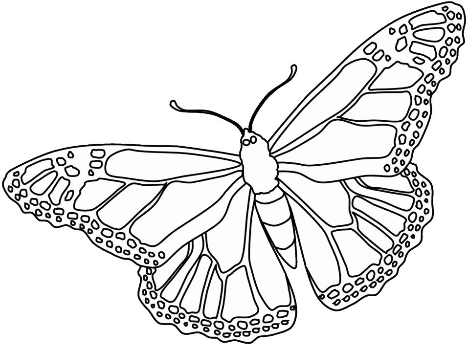 coloring pages of flowers and butterflies | RYNAKIMLEY