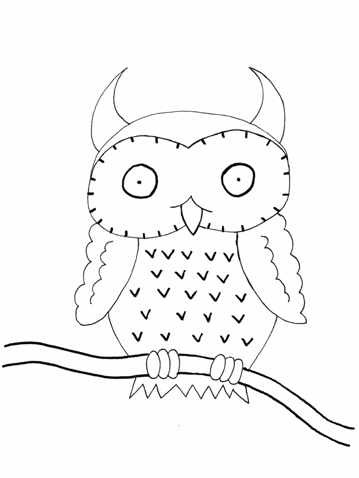 birds owl animals coloring pages book
