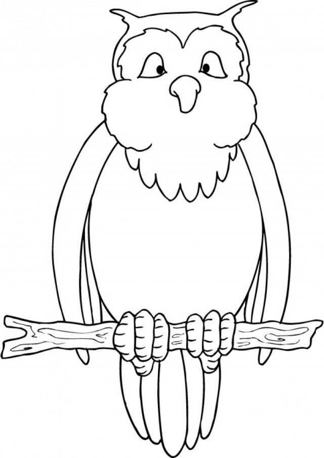 Free Printable Owl Coloring Sheets HD Printable Coloring Pages 