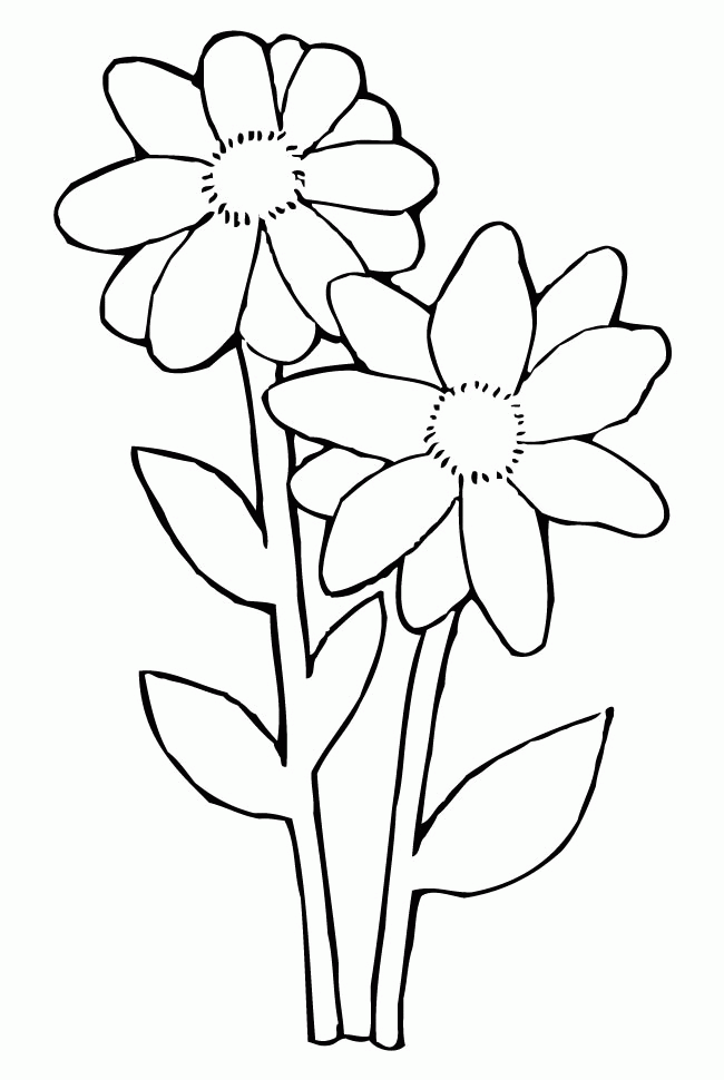 Daisy Flower Coloring Pages - Coloring Home