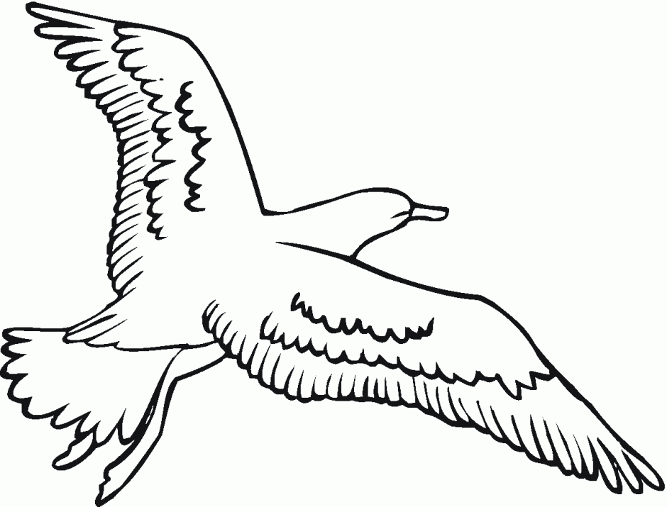 Seagull Is Flying Coloring Online Super Coloring 163795 Seagull 
