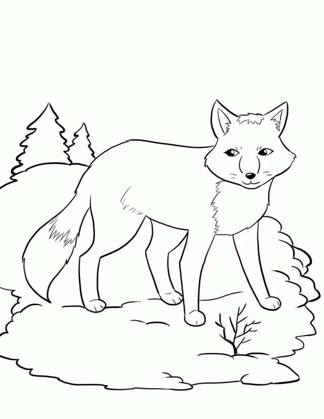 Sweet Winter Animal Fox Coloring Page For Kids | Laptopezine.