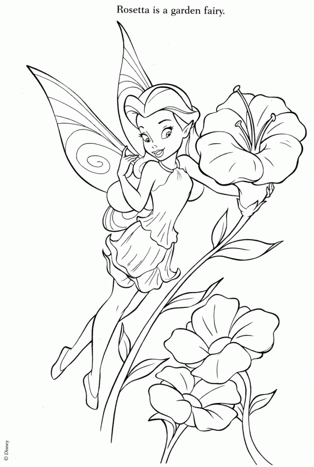 Tinkerbell And Fairy Friends Coloring Pages - Coloring Home