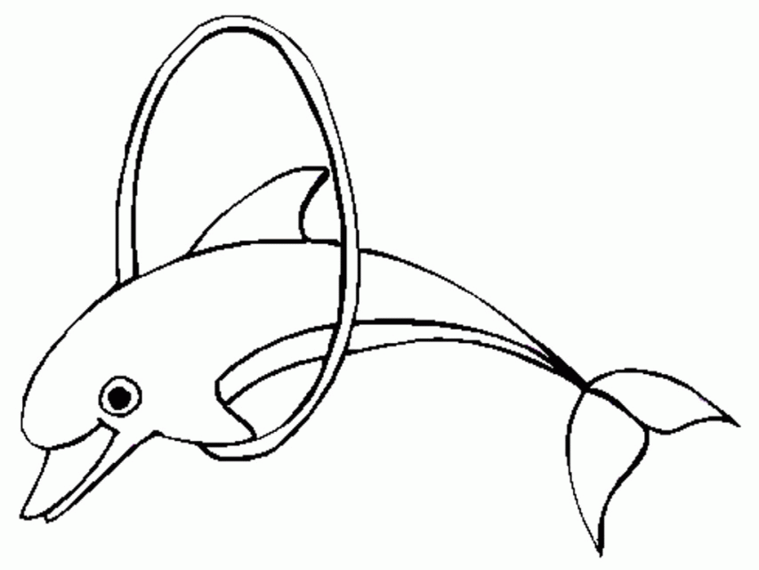 Baby Dolphin Coloring Pages - Coloring Home