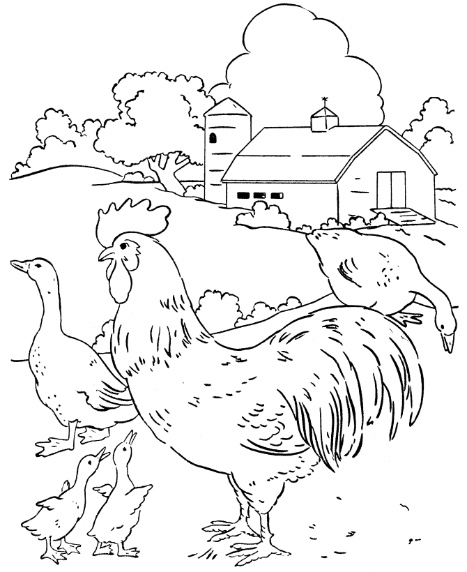 Chickens and geese in the barn yard | Coloring Sheets