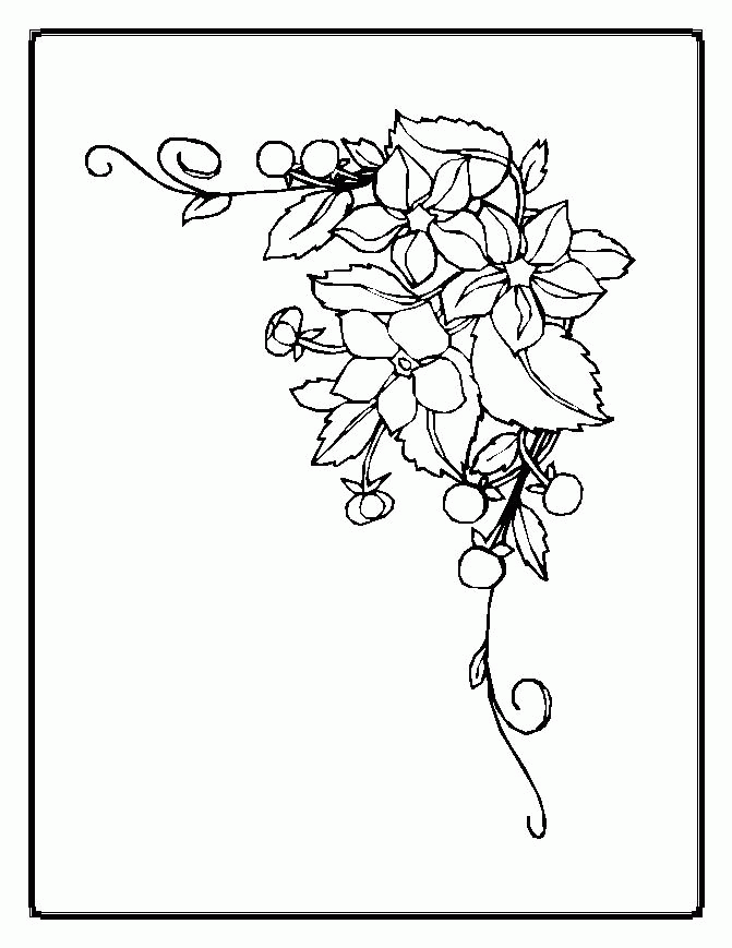 Flowers Coloring Pages - Coloring Home