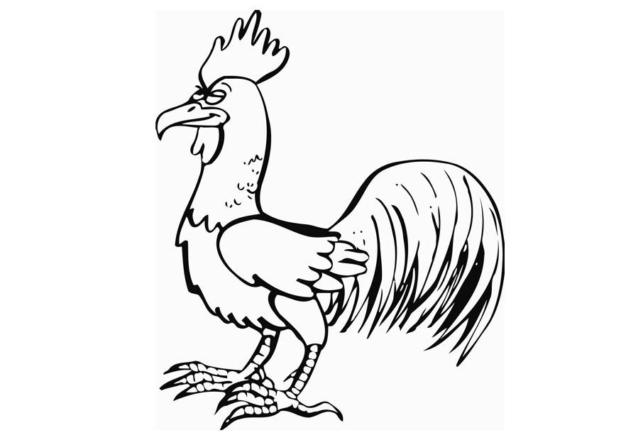 Coloring page rooster - img 12826.