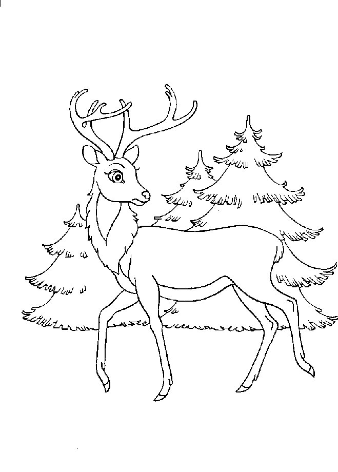 Bambi Coloring Pages - Coloringpages1001.