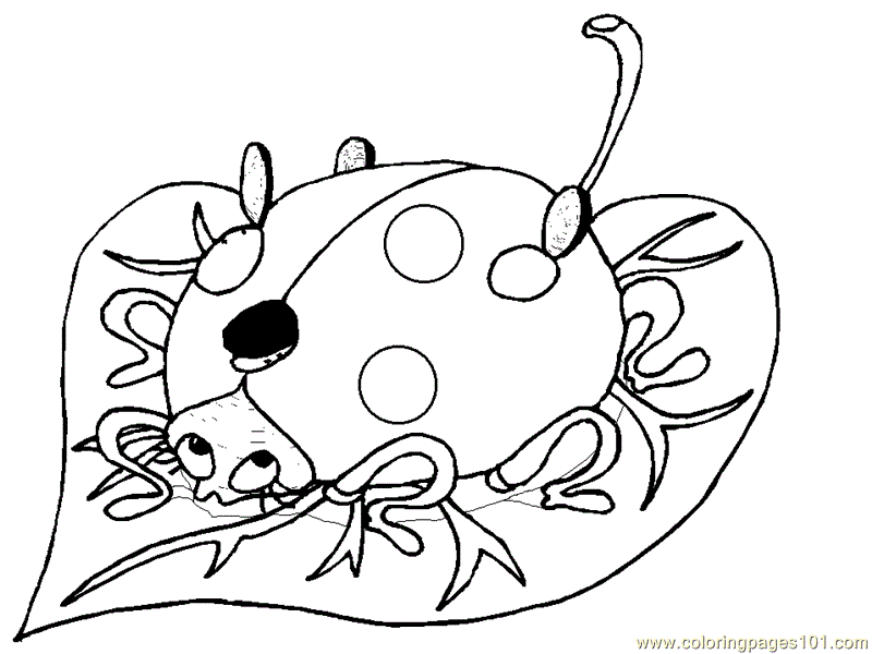 Lady Bug Coloring Page - Coloring For KidsColoring For Kids