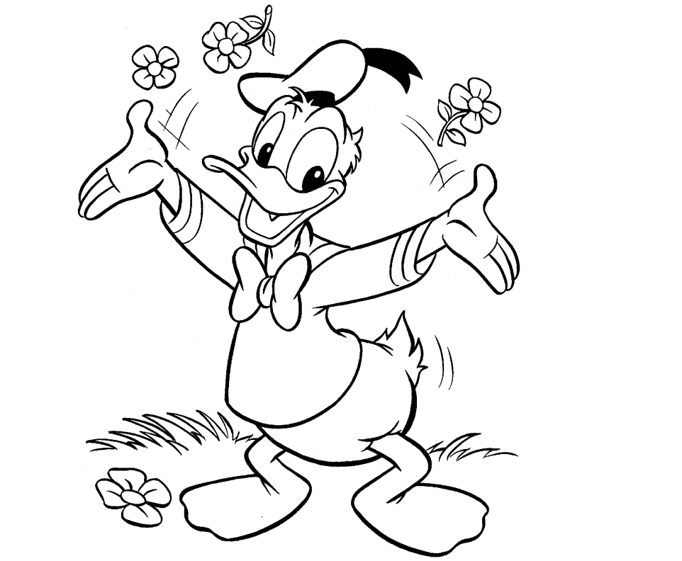 Colour Drawing Free Wallpaper: Donald Duck Coloring Drawing Free 