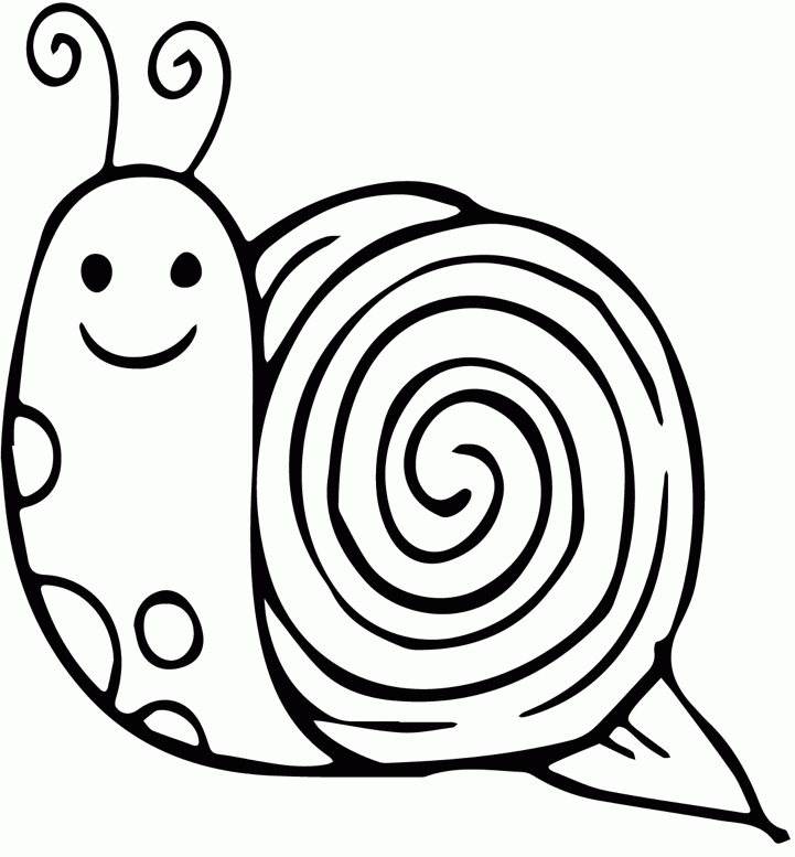 Snail Template Coloring Home