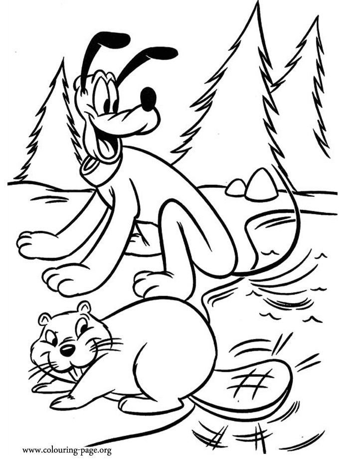 Mickey Mouse - Pluto and a beaver having fun coloring page