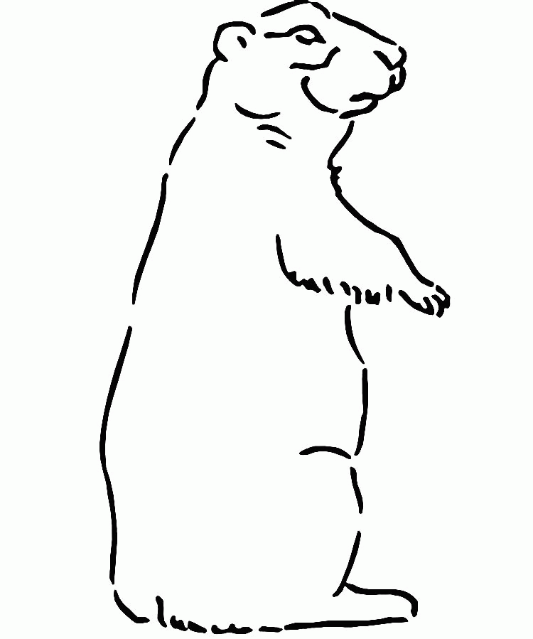 Prairie Dog Coloring Page Coloring Home,How Long Do Cats Live In A House
