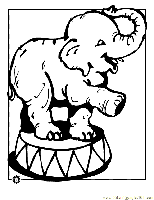 printable elephant pictures  coloring home