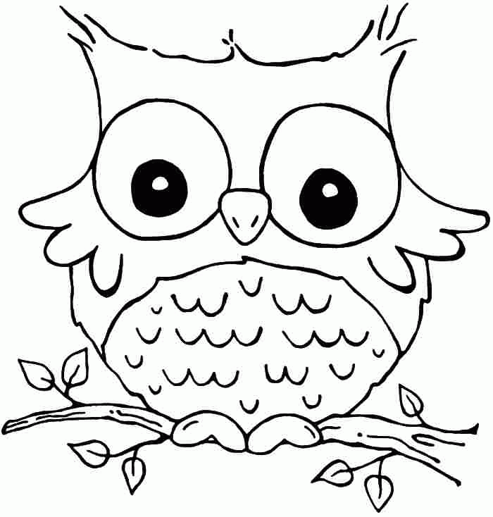Animal Owl Colouring Pages Free For Kids & Boys - #