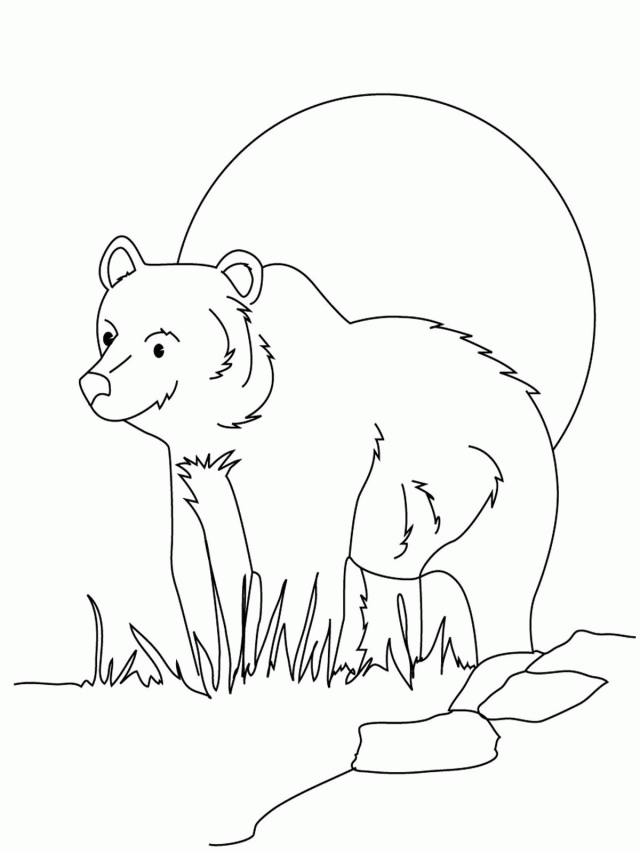 Grizzly Bear Coloring Pages Printable For Kids Id 55641 296538 