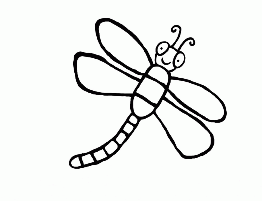 Dragonfly Coloring Page Educations