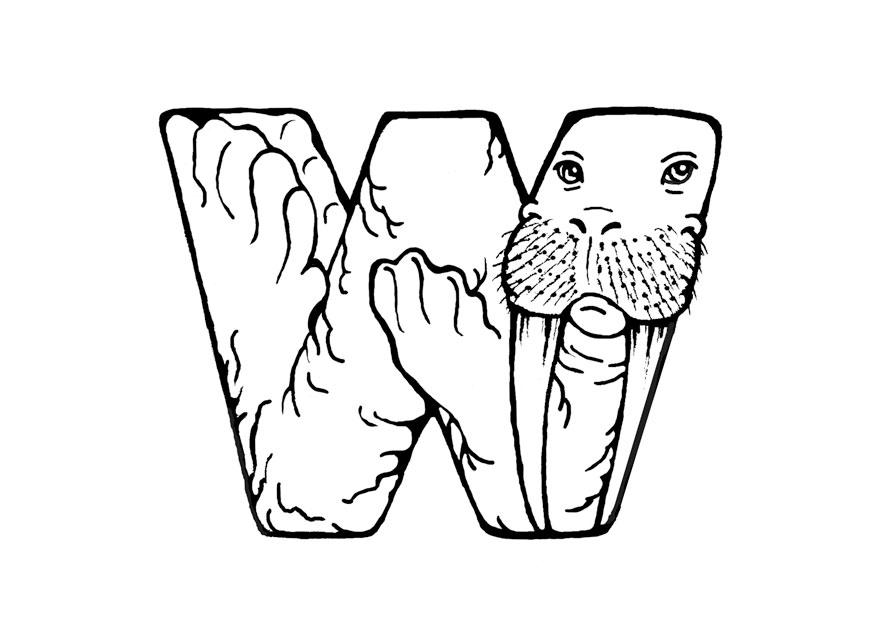 Coloring page w-walrus - img 24811.