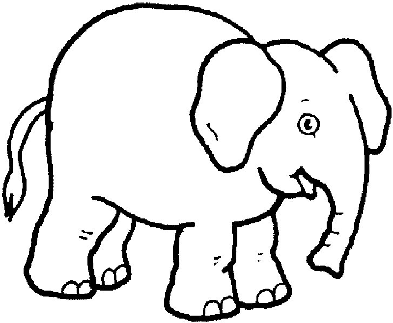 Elephants | Free Printable Coloring Pages