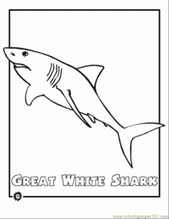 Cartoon Shark Coloring Pages - Category