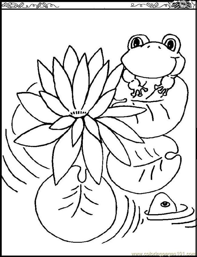 Water Lily Coloring Pages Images & Pictures - Becuo