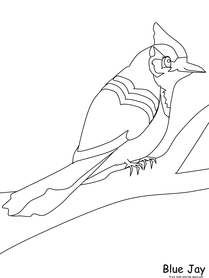 Blue Bird Coloring Page