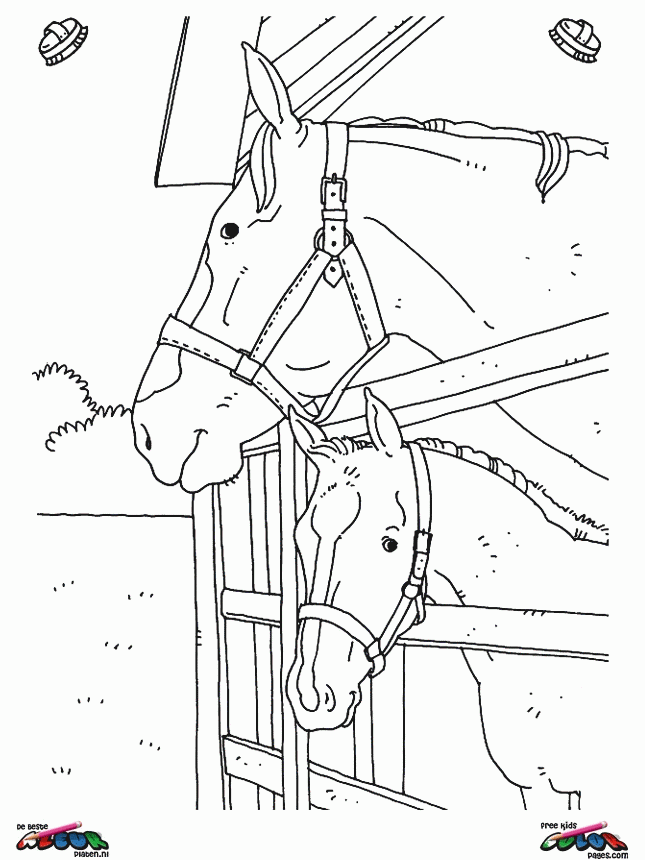 Real Horse Coloring Pages - Coloring Home