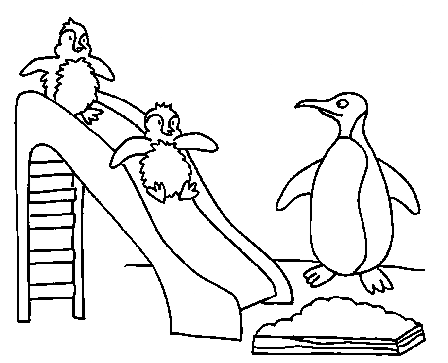 Penguin With Scraft Coloring Page | Kids Coloring Page