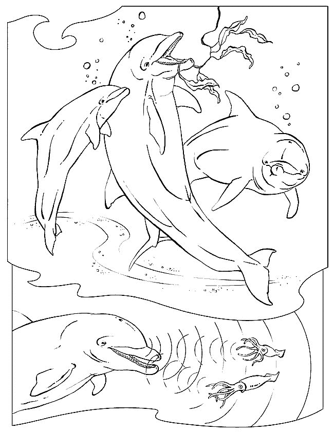 Coloring Page - Sea animal coloring pages 1